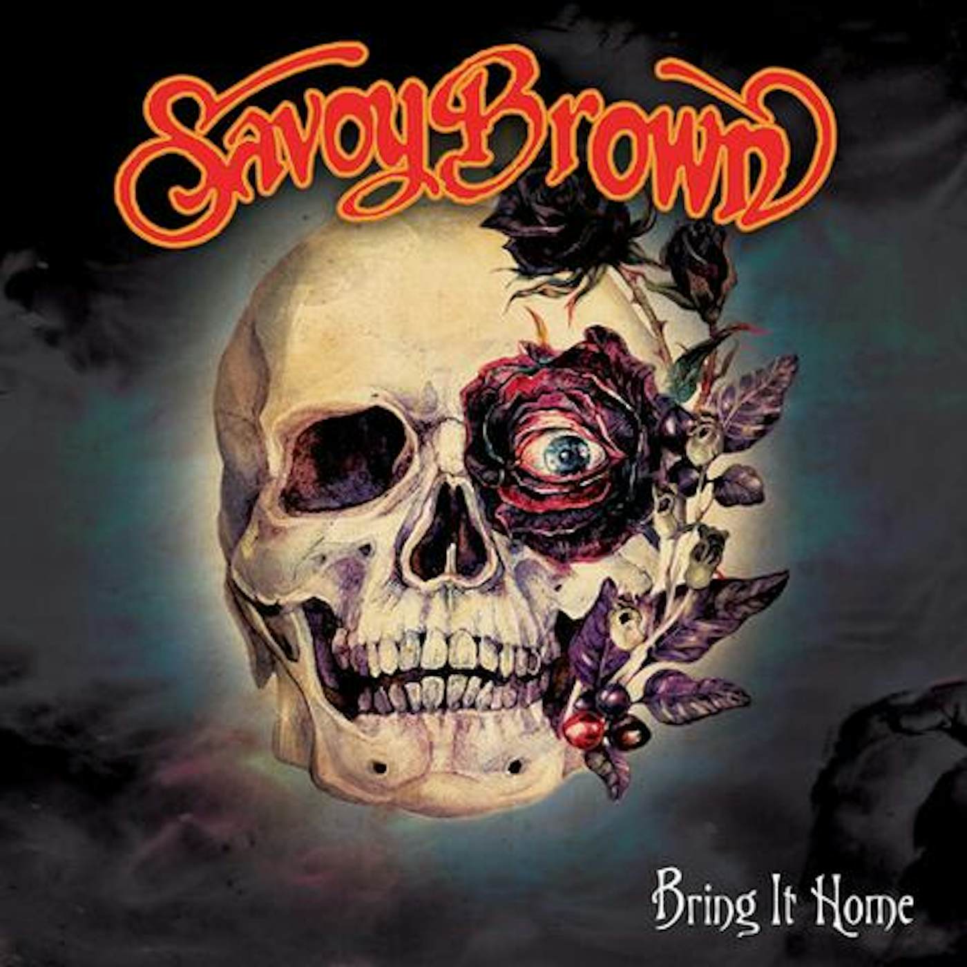 Savoy Brown Bring It Home Vinyl Record