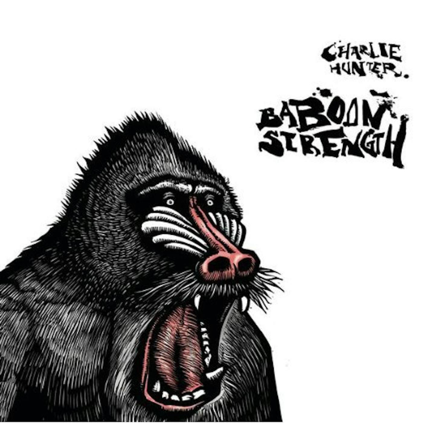 Charlie Hunter BABOON STRENGTH CD