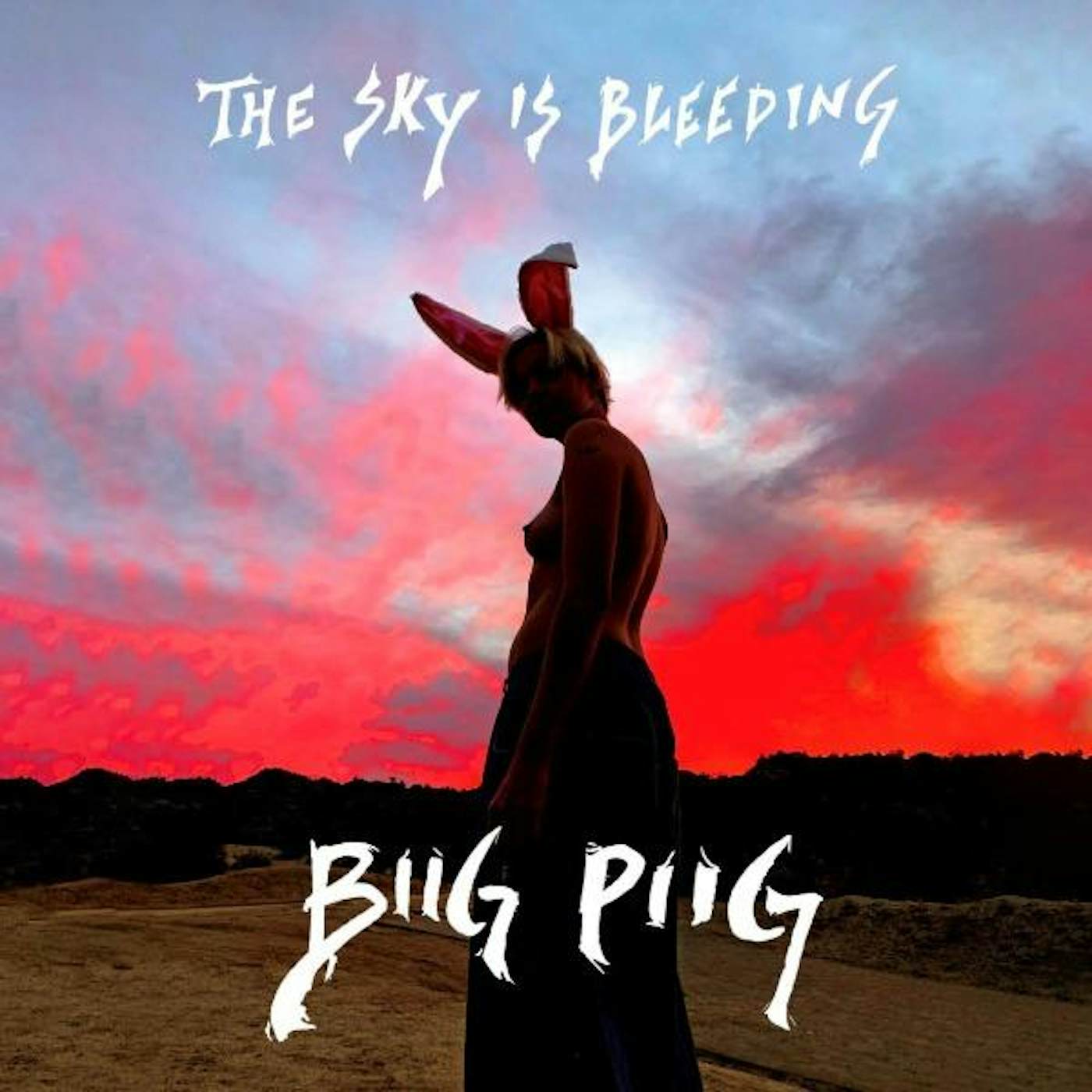 Biig Piig SKY IS BLEEDING Vinyl Record