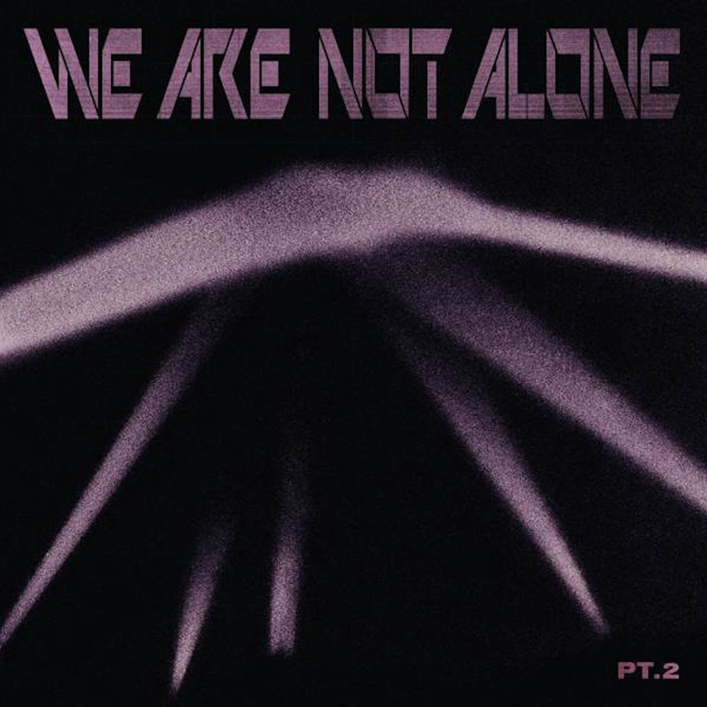 WE ARE NOT ALONE PART 2 / VARIOUS Vinyl Record