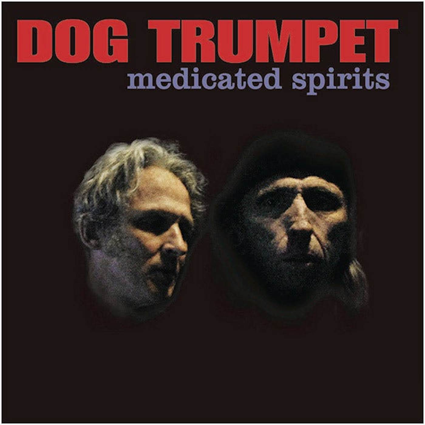 Dog Trumpet Medicated Spirits Vinyl Record