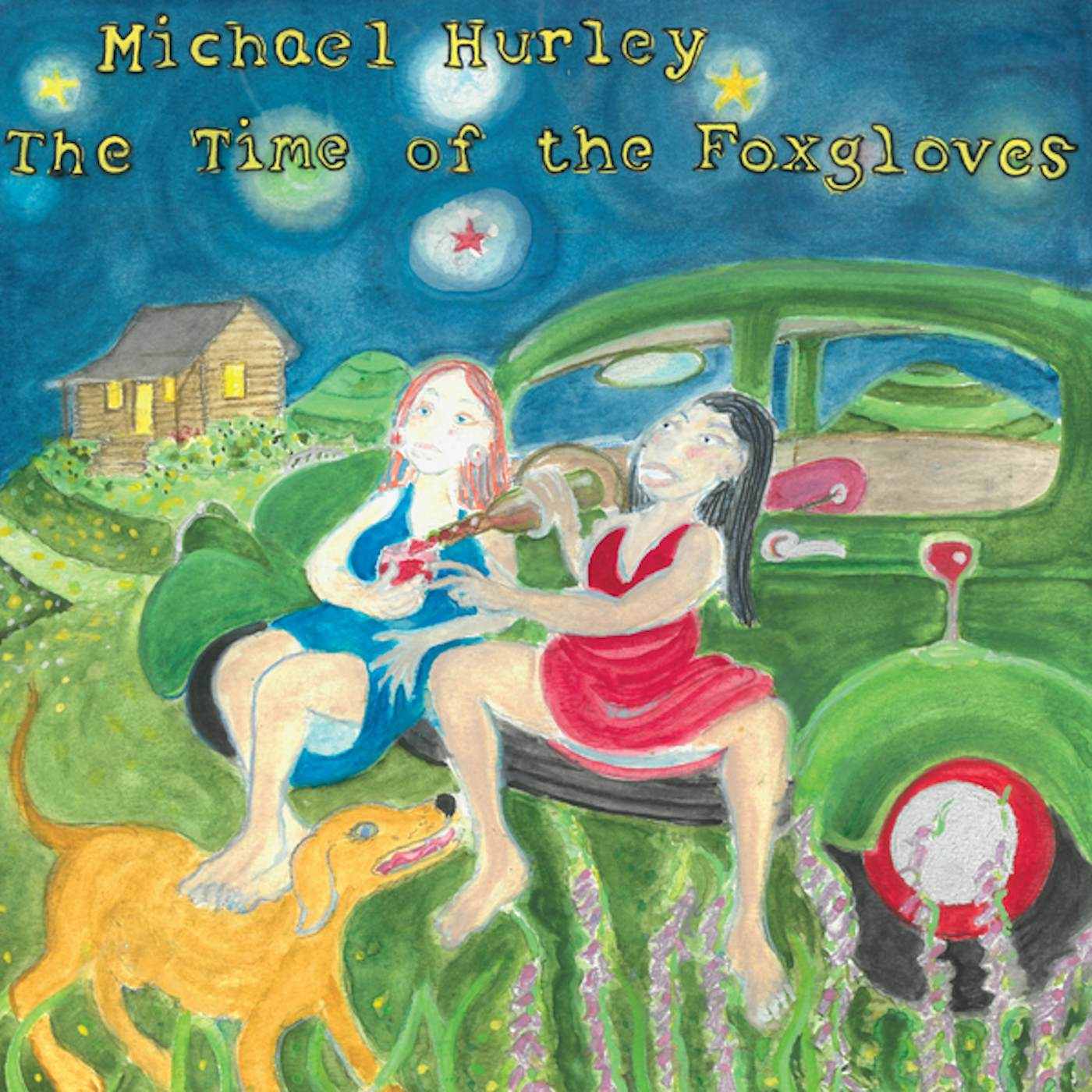 Michael Hurley TIME OF THE FOXGLOVES Vinyl Record