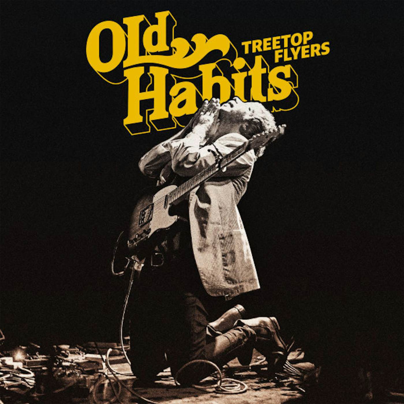 Treetop Flyers Old Habits Vinyl Record