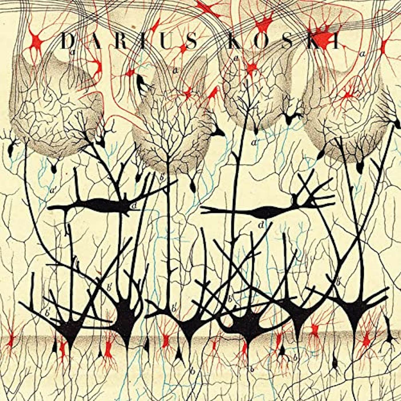 Darius Koski OFF WITH THEIR HEADS Vinyl Record