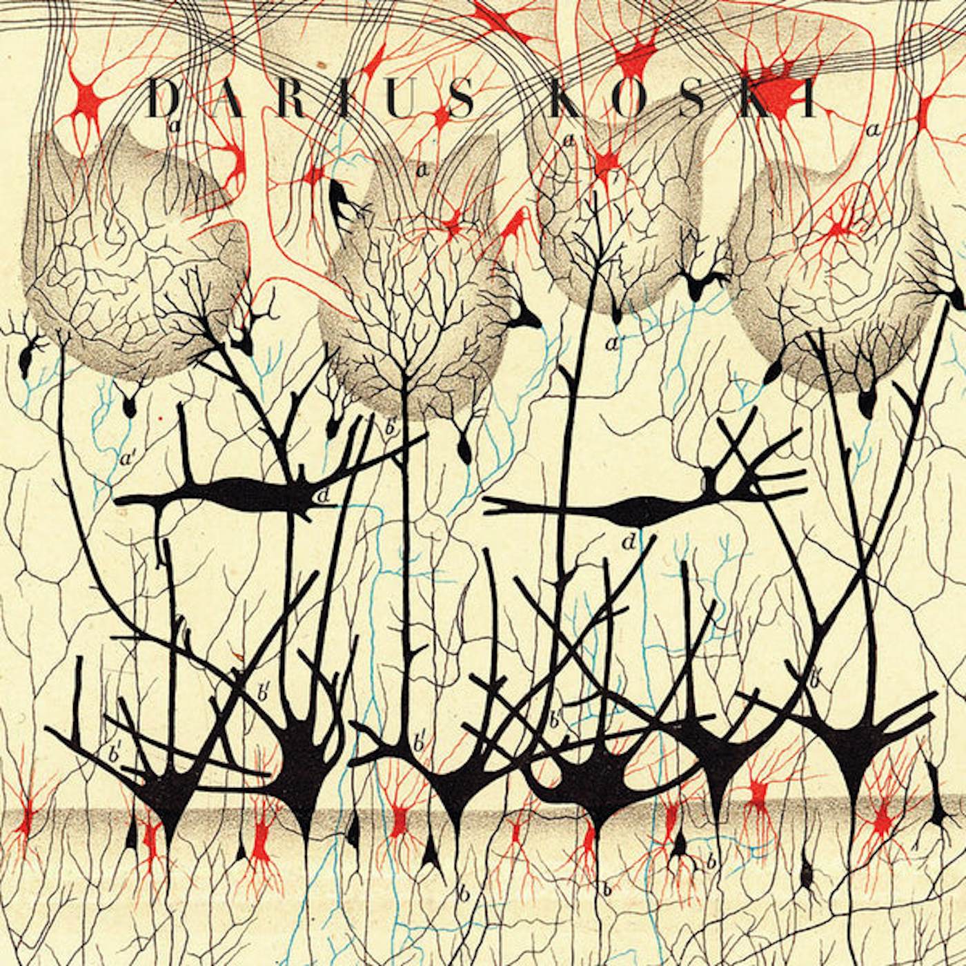 Darius Koski Off with Their Heads Vinyl Record