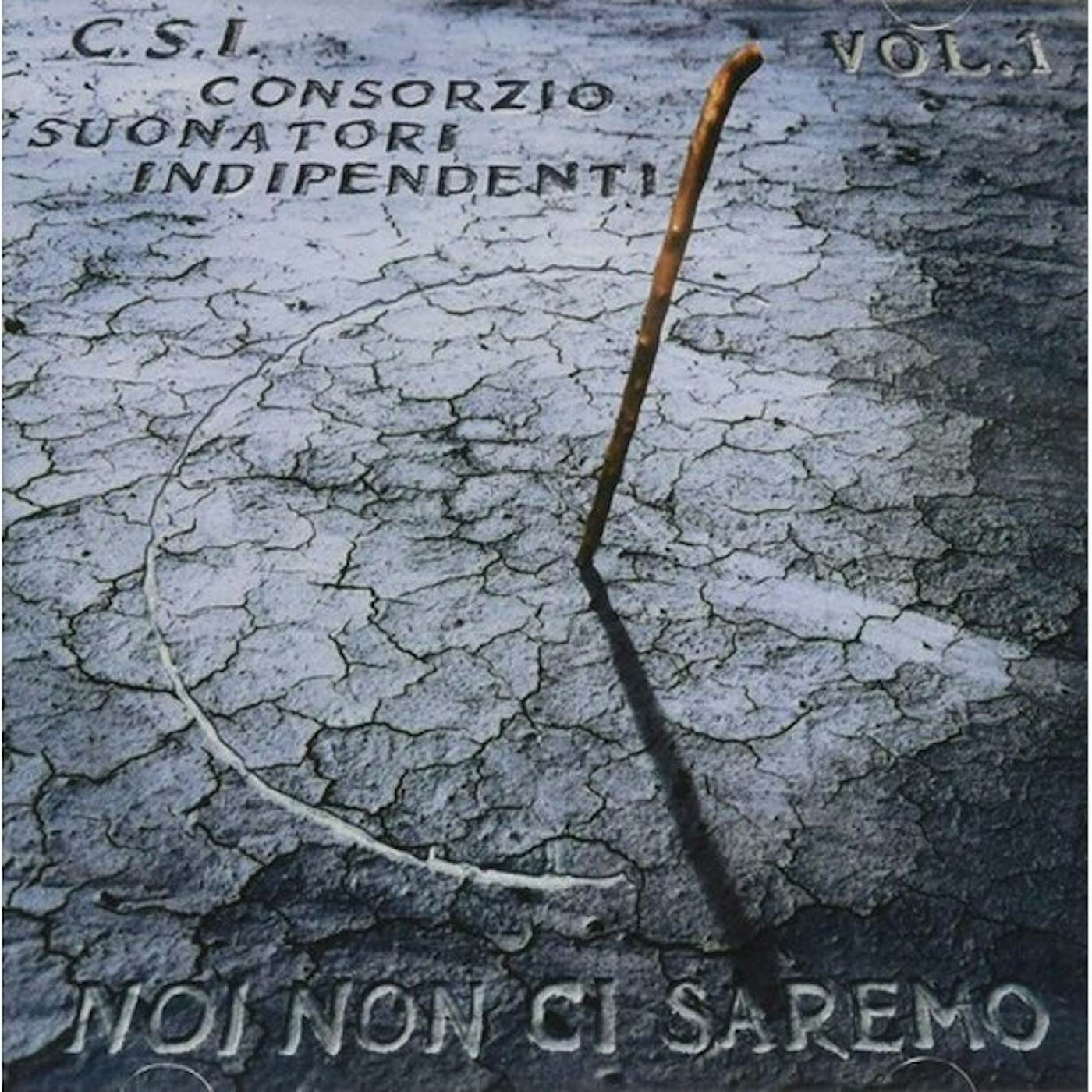 C.S.I. NOI NON CI SAREMO Vinyl Record