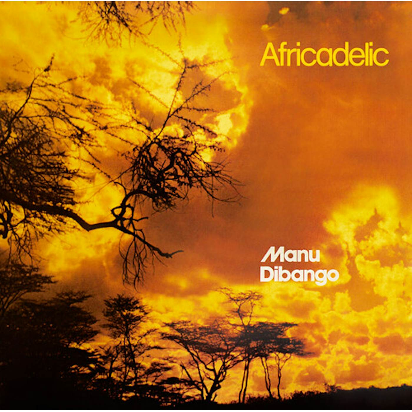 Manu Dibango AFRICADELIC CD