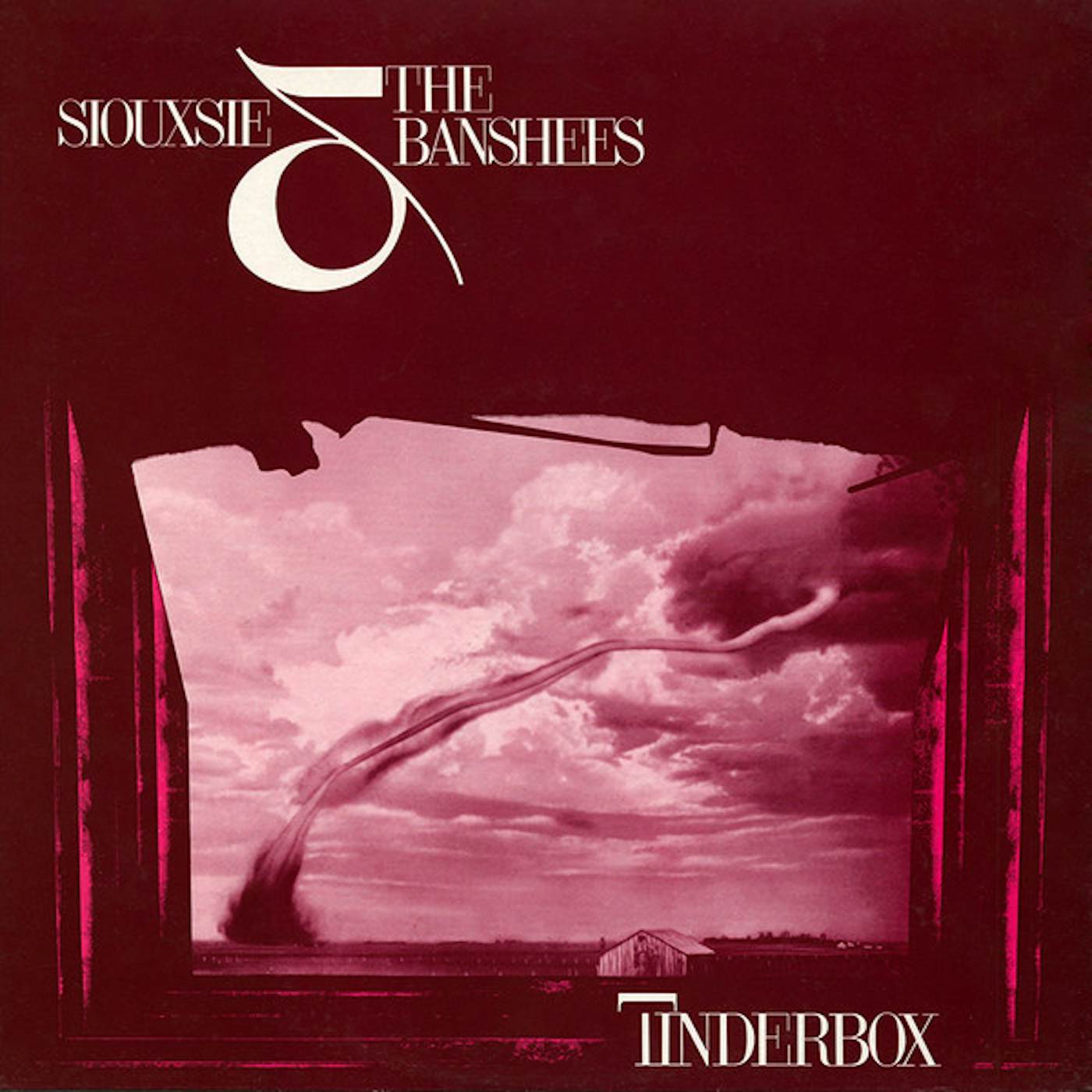 Siouxsie and the Banshees Tinderbox Vinyl Record