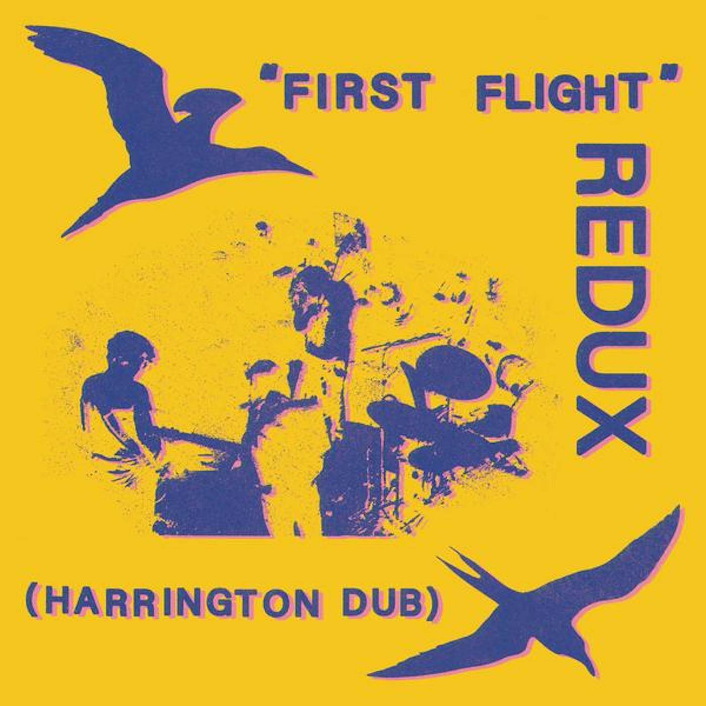 Chris Forsyth FIRST FLIGHT REDUX (HARRINGTON DUB) Vinyl Record