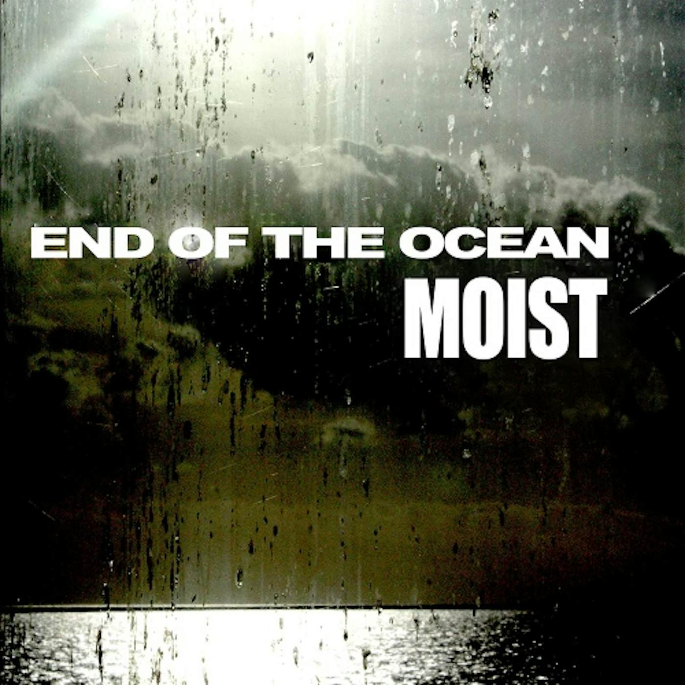 Moist End Of The Ocean Vinyl Record