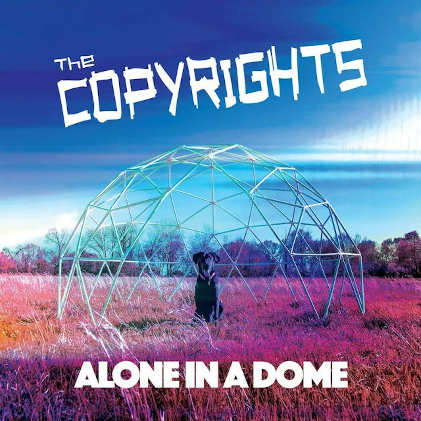 The Copyrights Alone In A Dome Vinyl Record