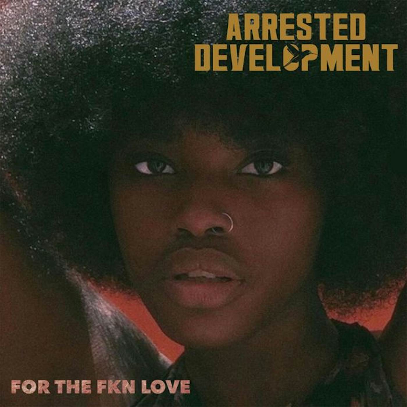 Arrested Development For the FKN Love Vinyl Record