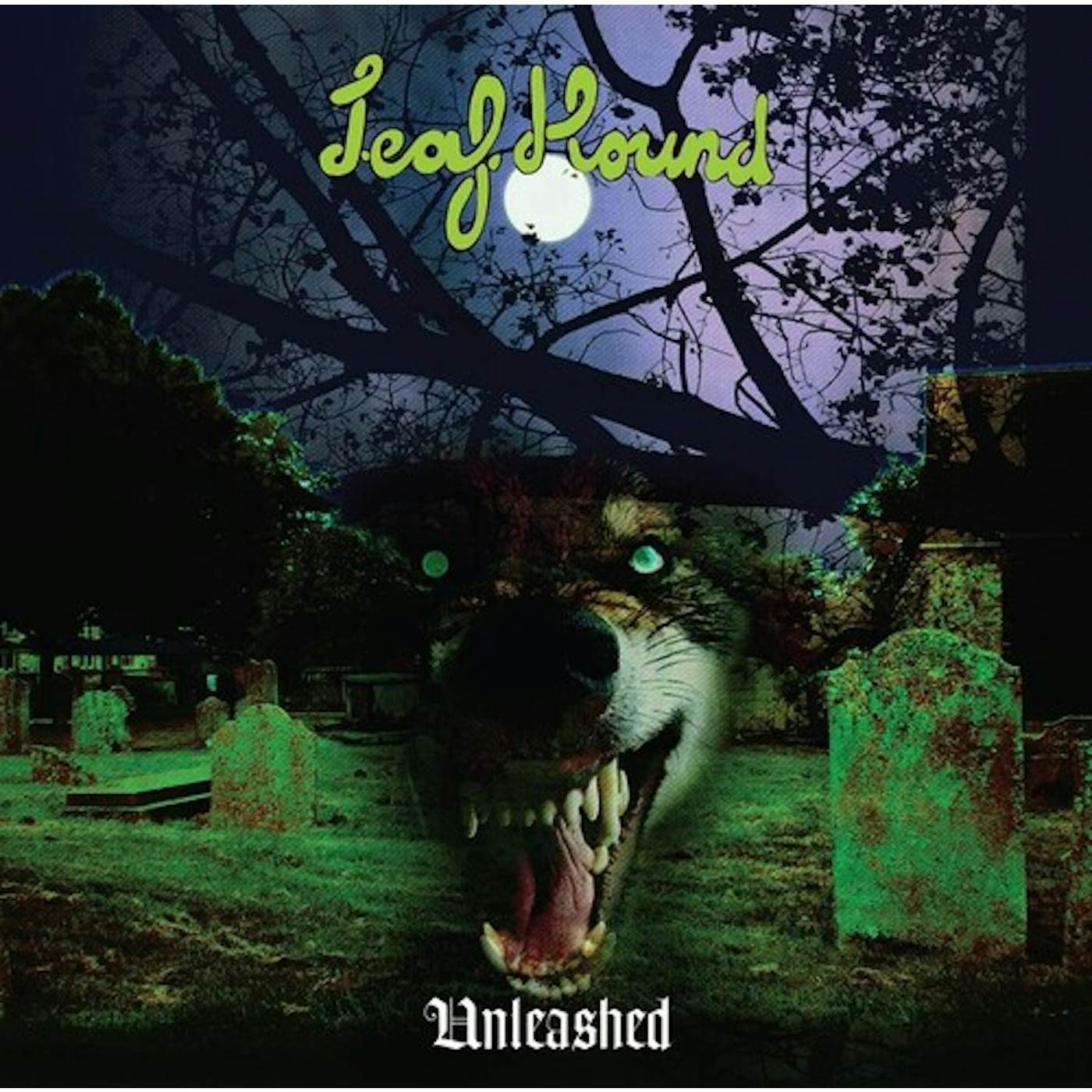 Leaf Hound Unleashed Vinyl Record