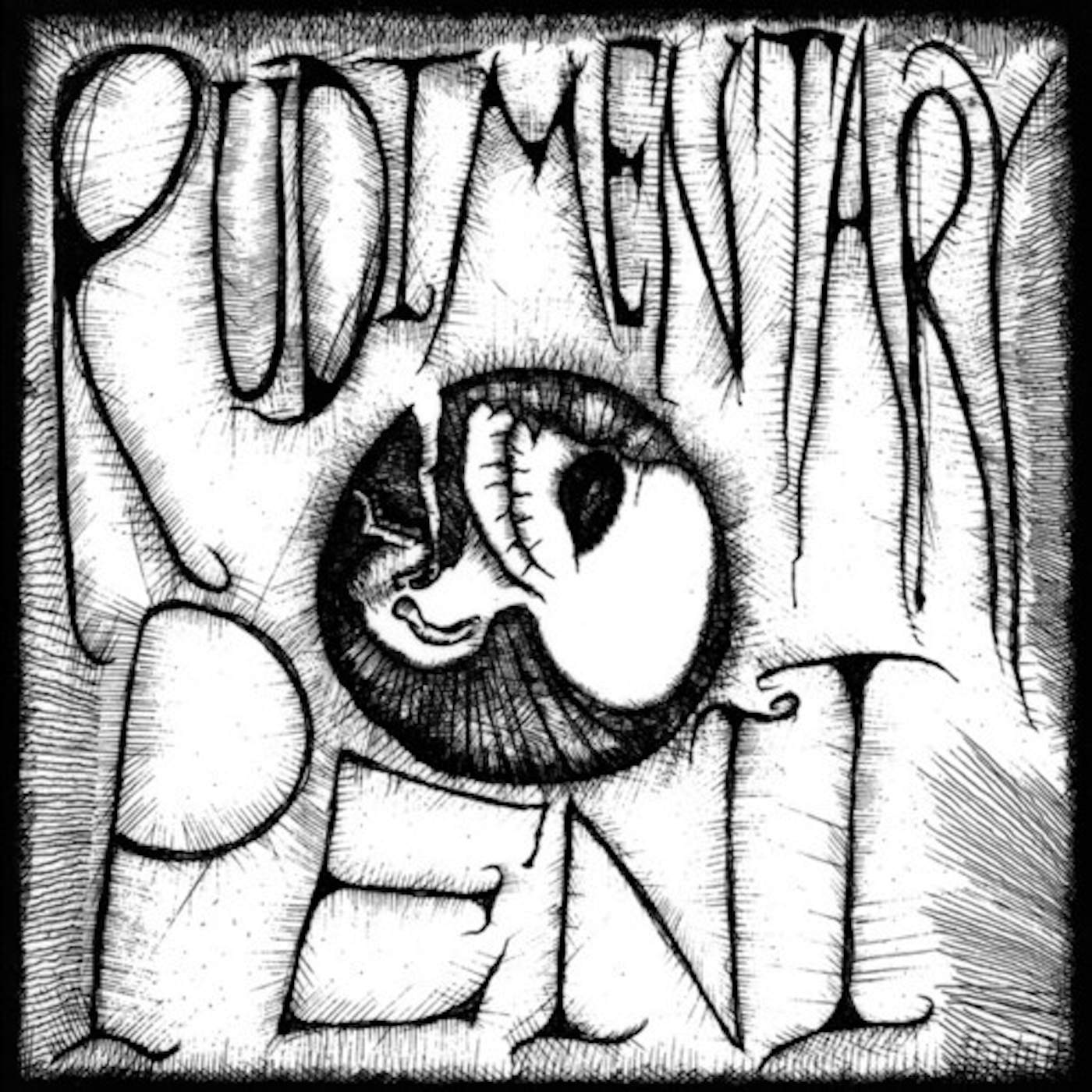 Rudimentary Peni Vinyl Record