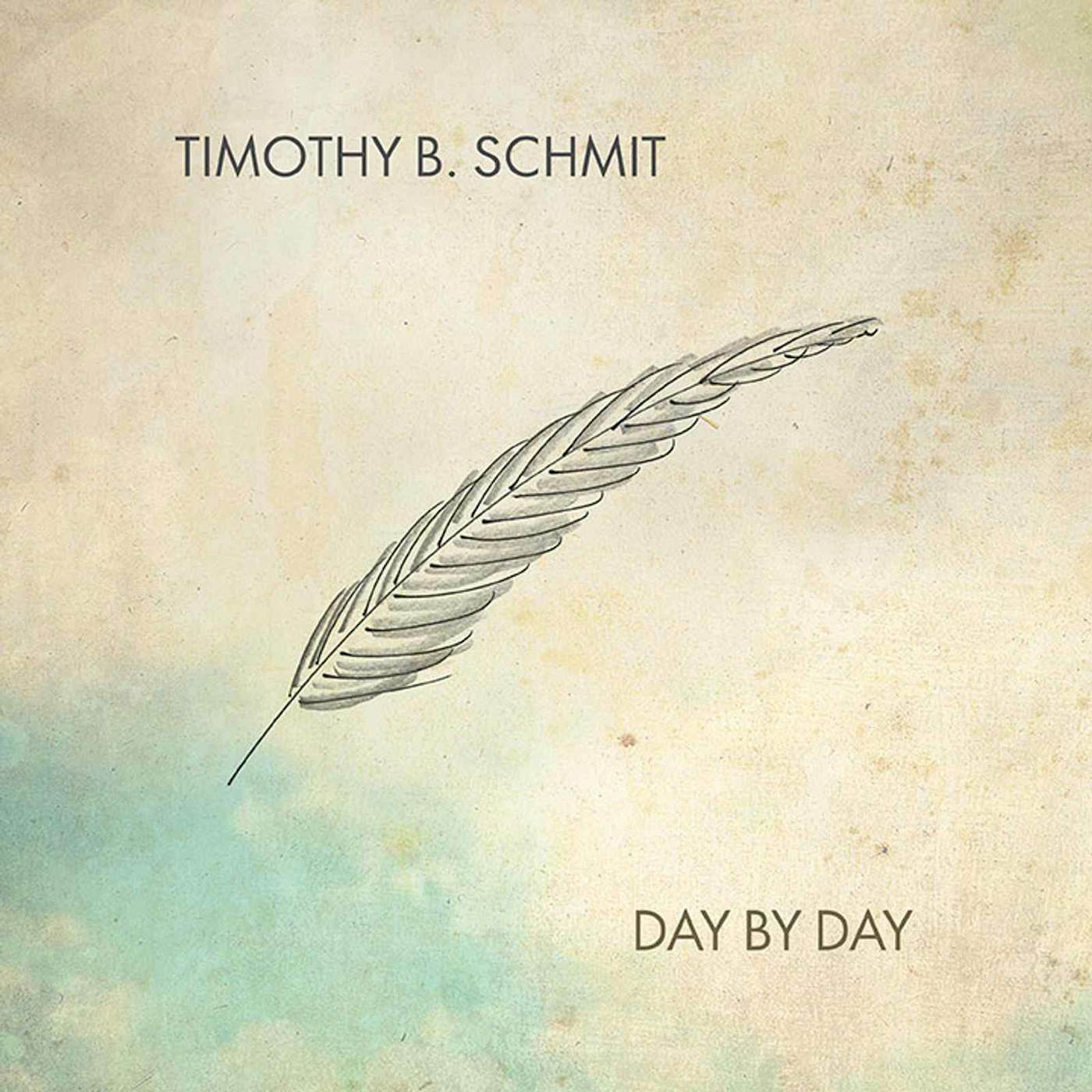 Timothy B. Schmit DAY BY DAY Vinyl Record