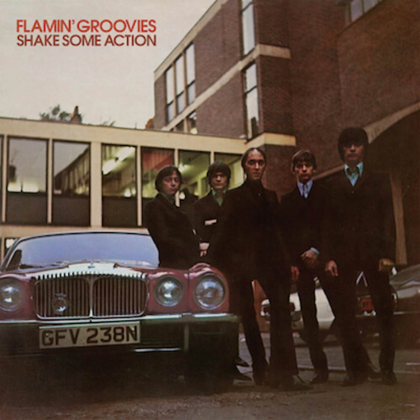 Flamin' Groovies Shake Some Action Vinyl Record
