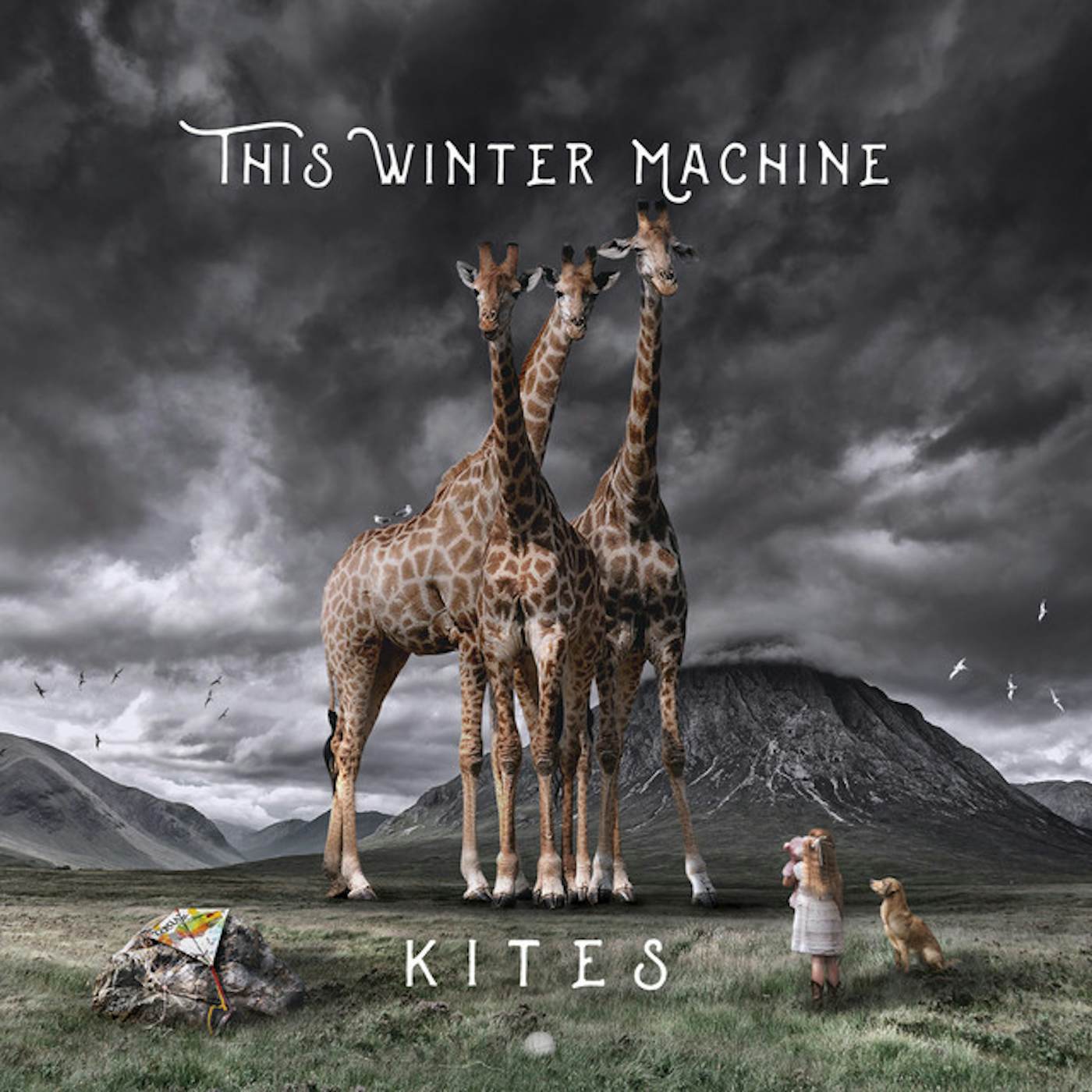 This Winter Machine Kites Vinyl Record