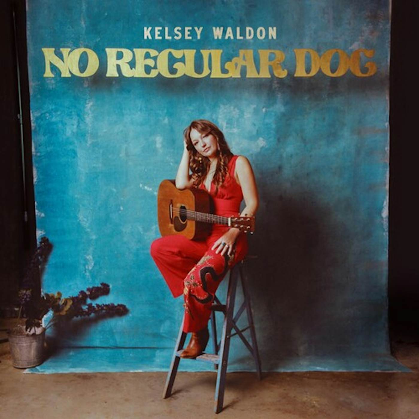 Kelsey Waldon NO REGULAR DOG CD