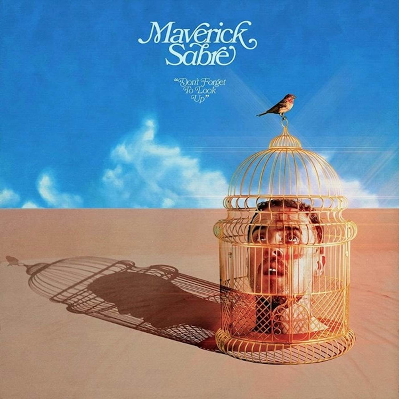 Maverick Sabre Don't Forget to Look Up Vinyl Record