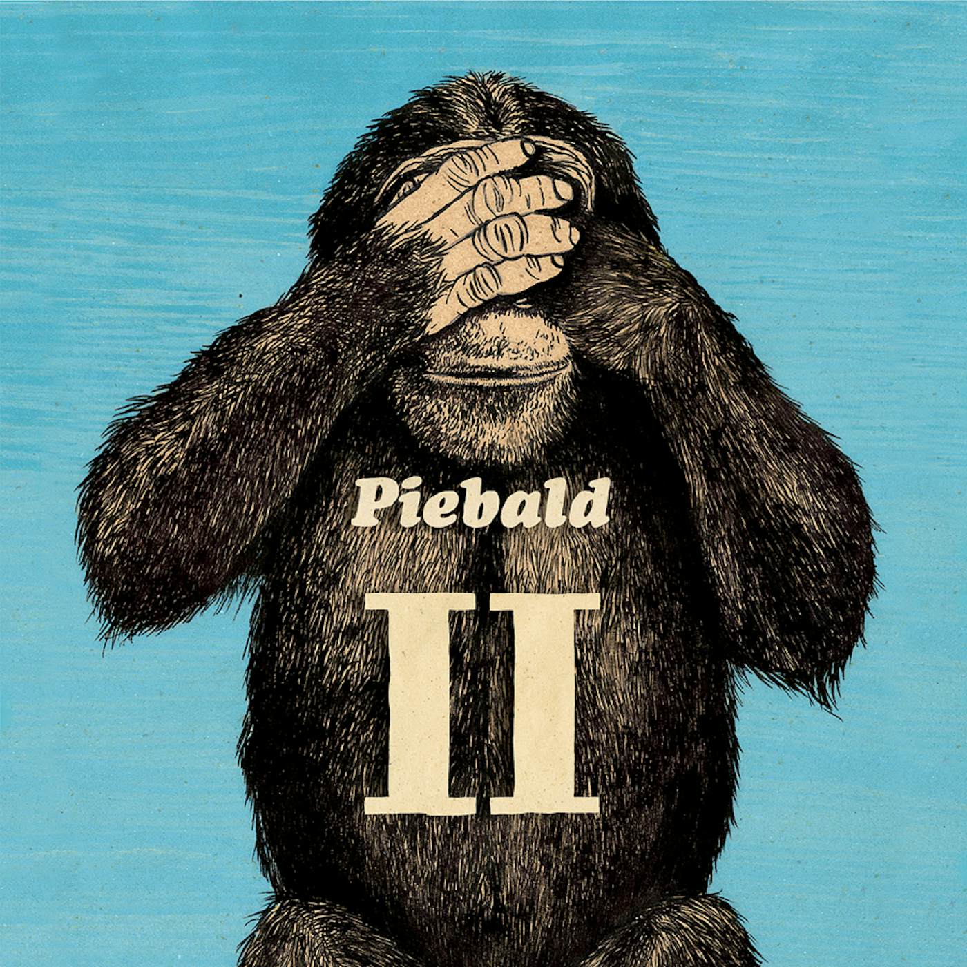 Piebald VOLUME 2 CD