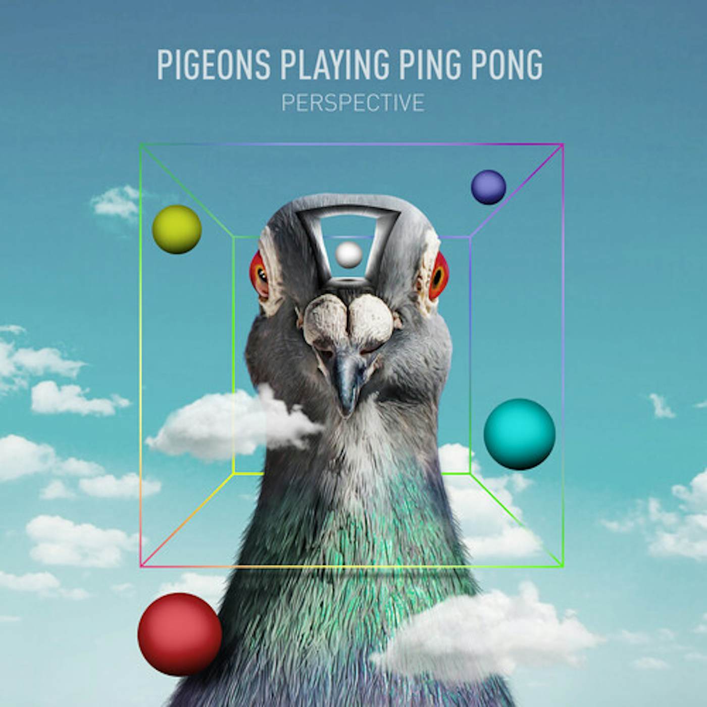 Pigeons Playing Ping Pong Perspective Vinyl Record