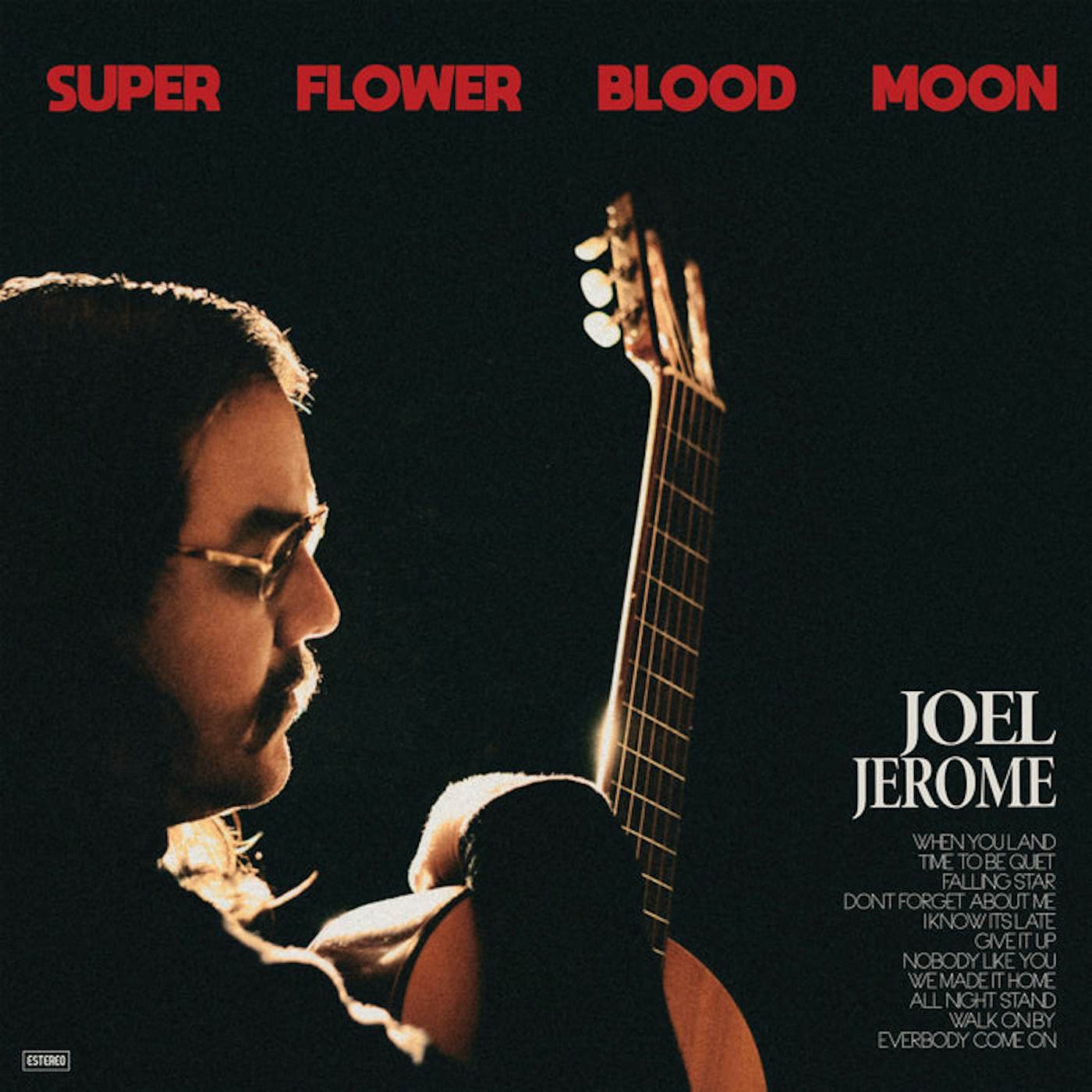 Joel Jerome Super Flower Blood Moon vinyl record