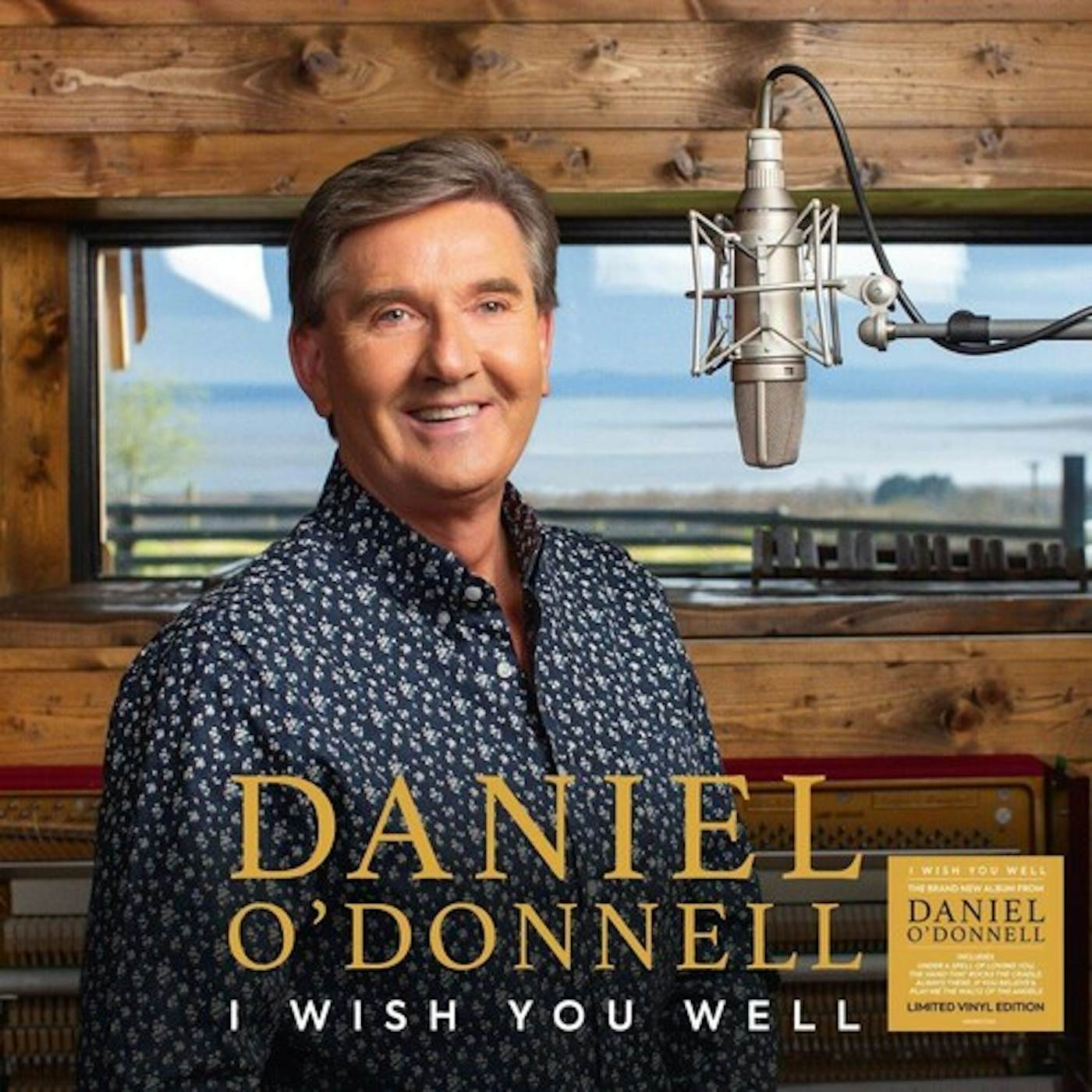 Daniel O'Donnell I Wish You Well Vinyl Record