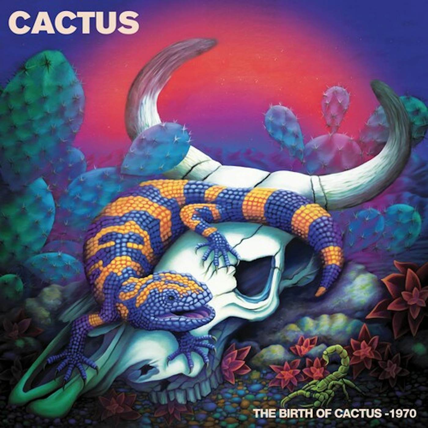 BIRTH OF CACTUS - 1970 - BLUE Vinyl Record