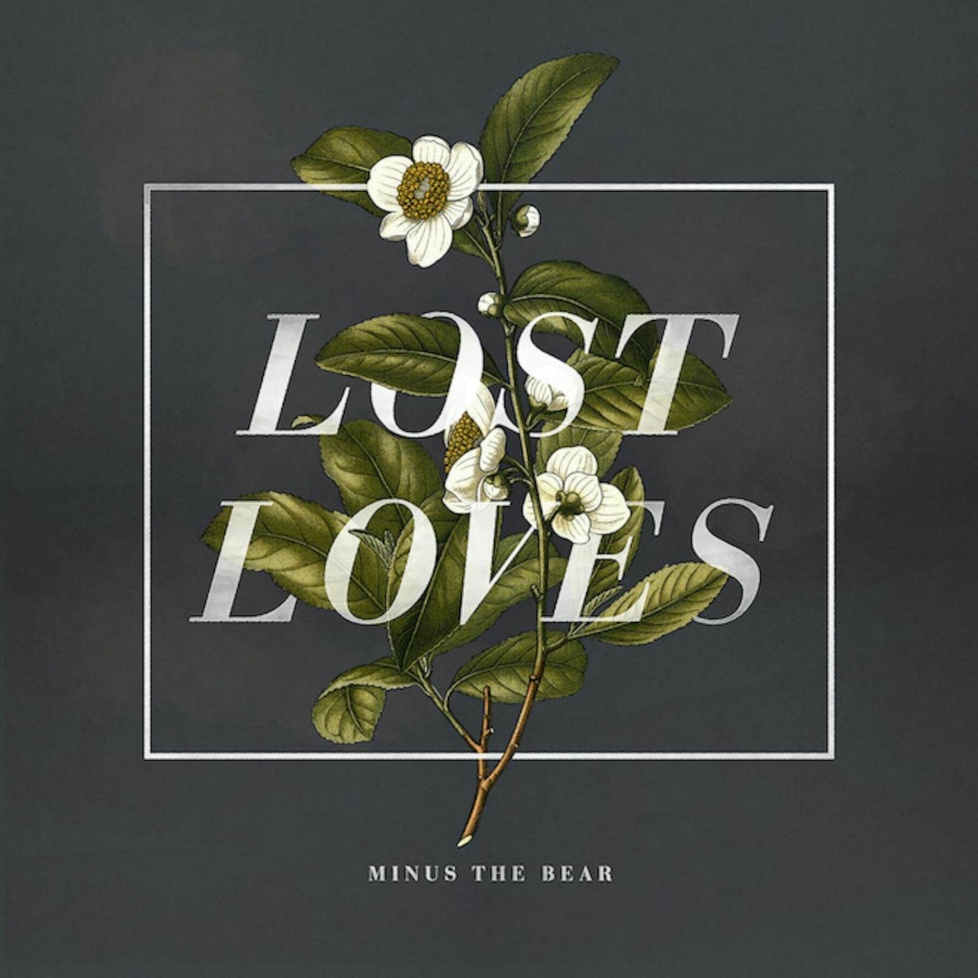 Minus the Bear LOST LOVES (GOLD & WHITE SWIRL VINYL) Vinyl Record