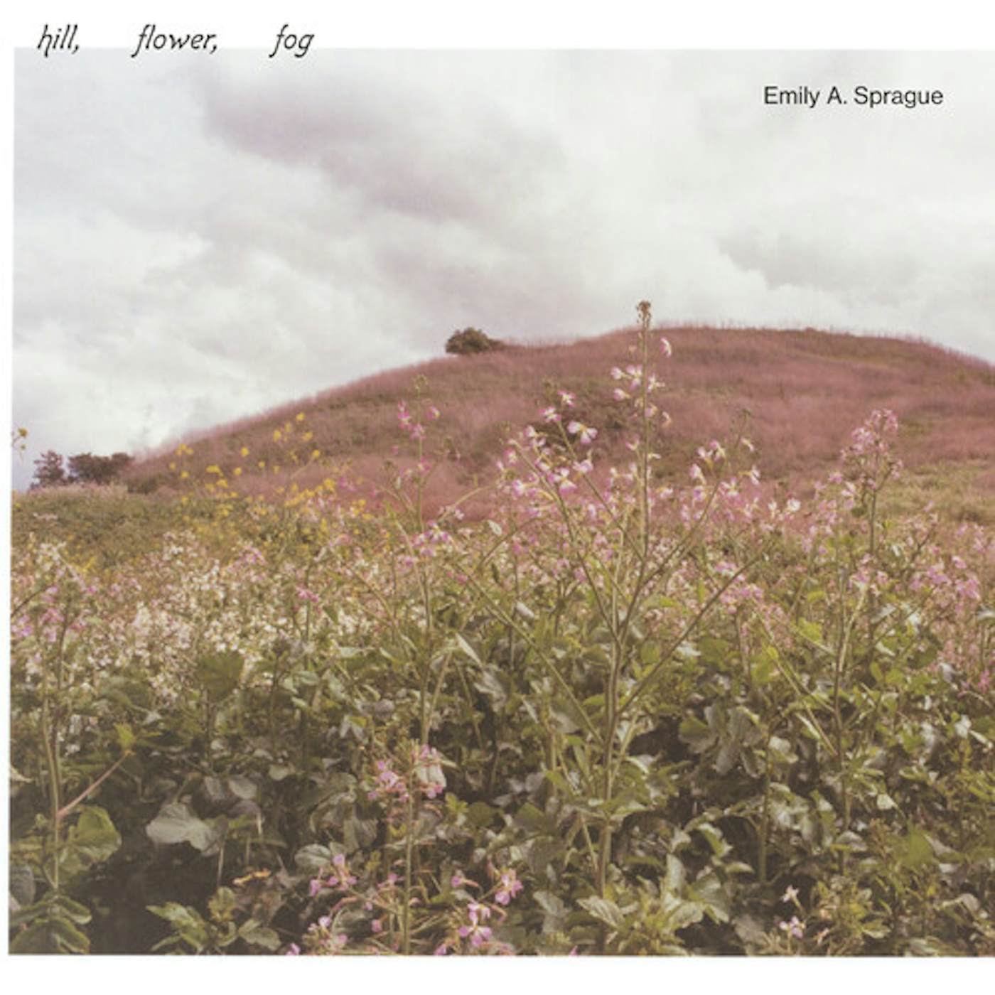 Emily A. Sprague HILL FLOWER FOG - FOGGY WHITE Vinyl Record