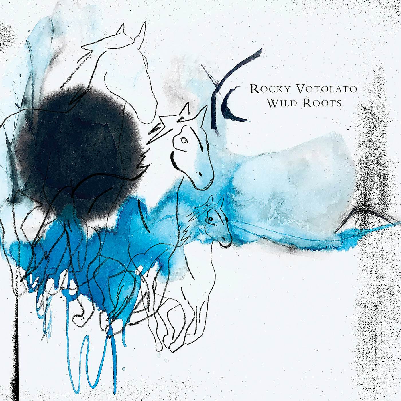 Rocky Votolato WILD ROOTS Vinyl Record