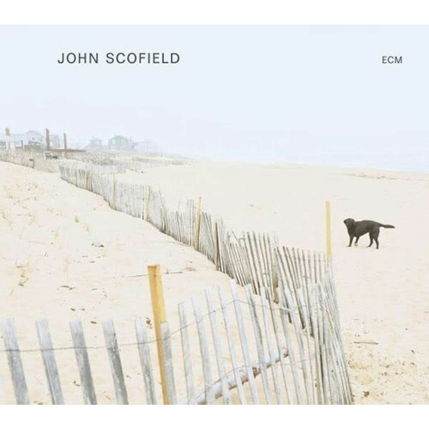 John Scofield Vinyl Record