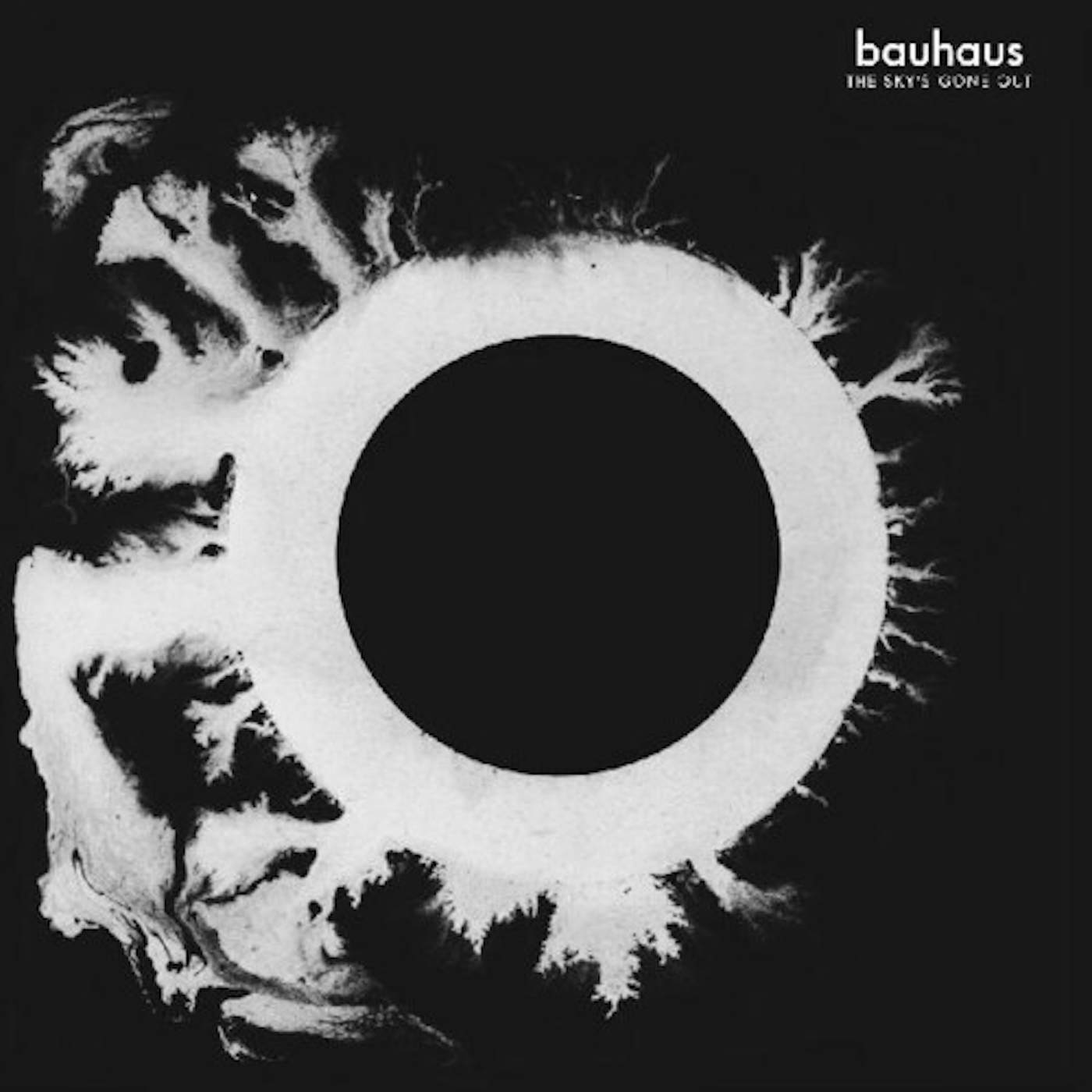 Bauhaus The Sky's Gone Out Vinyl Record