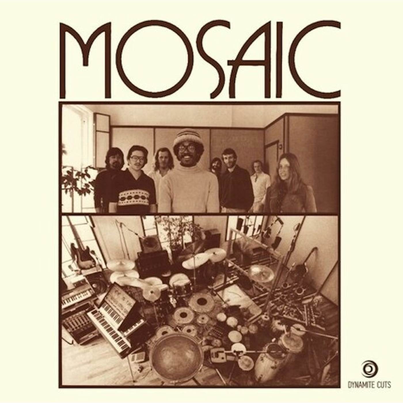 Mosaic PRESENT TENSE Vinyl Record