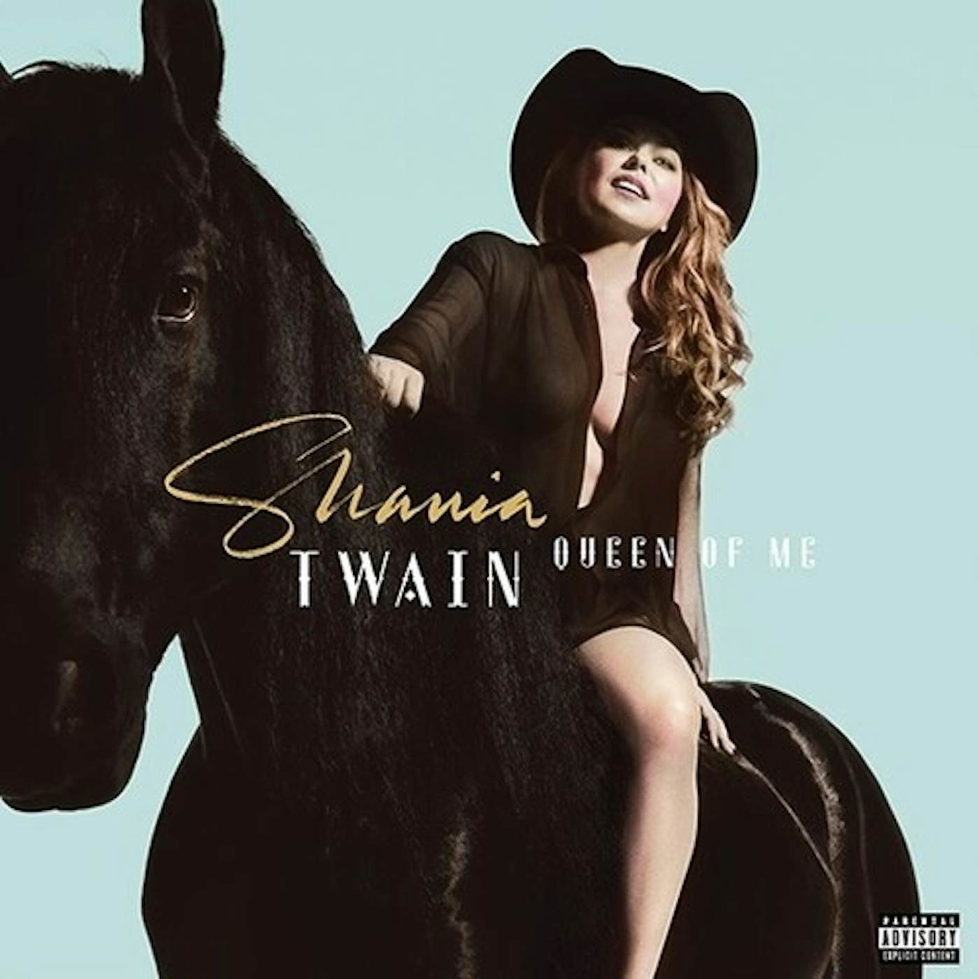 Shania Twain QUEEN OF ME CD