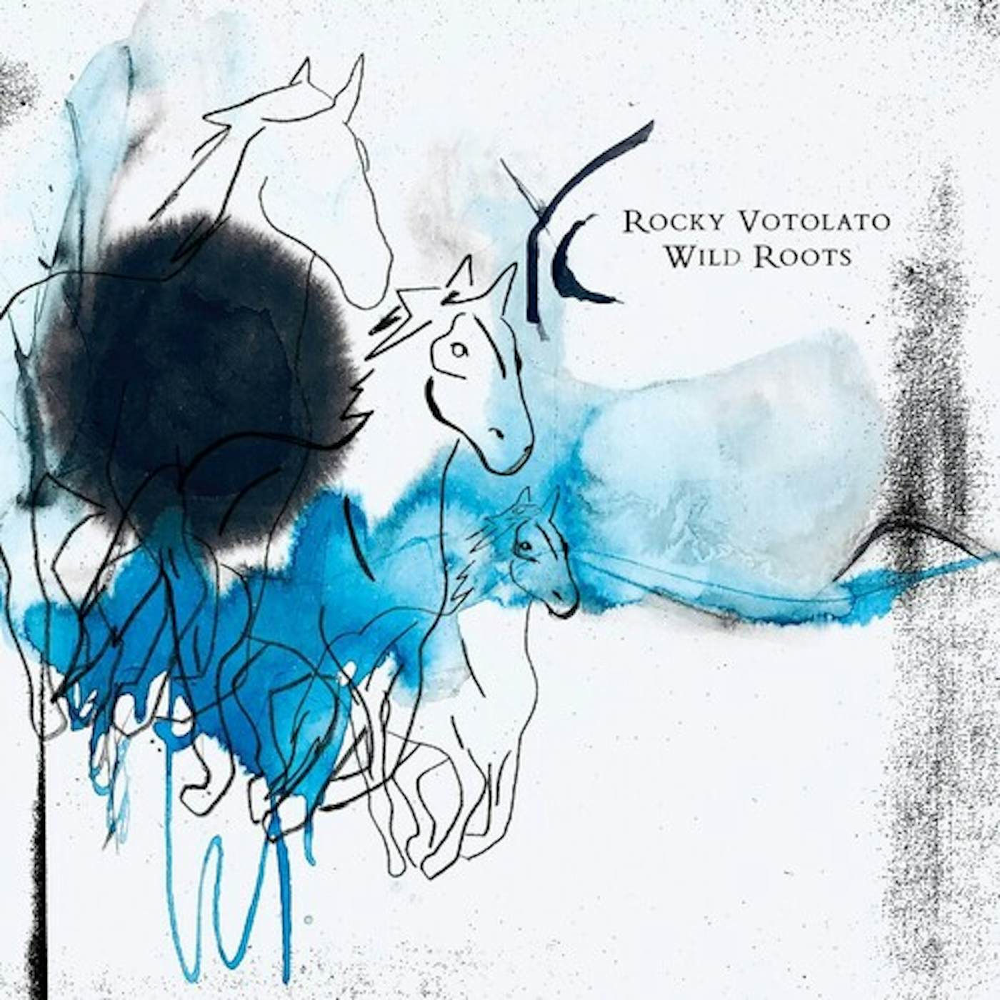 Rocky Votolato Wild Roots Vinyl Record