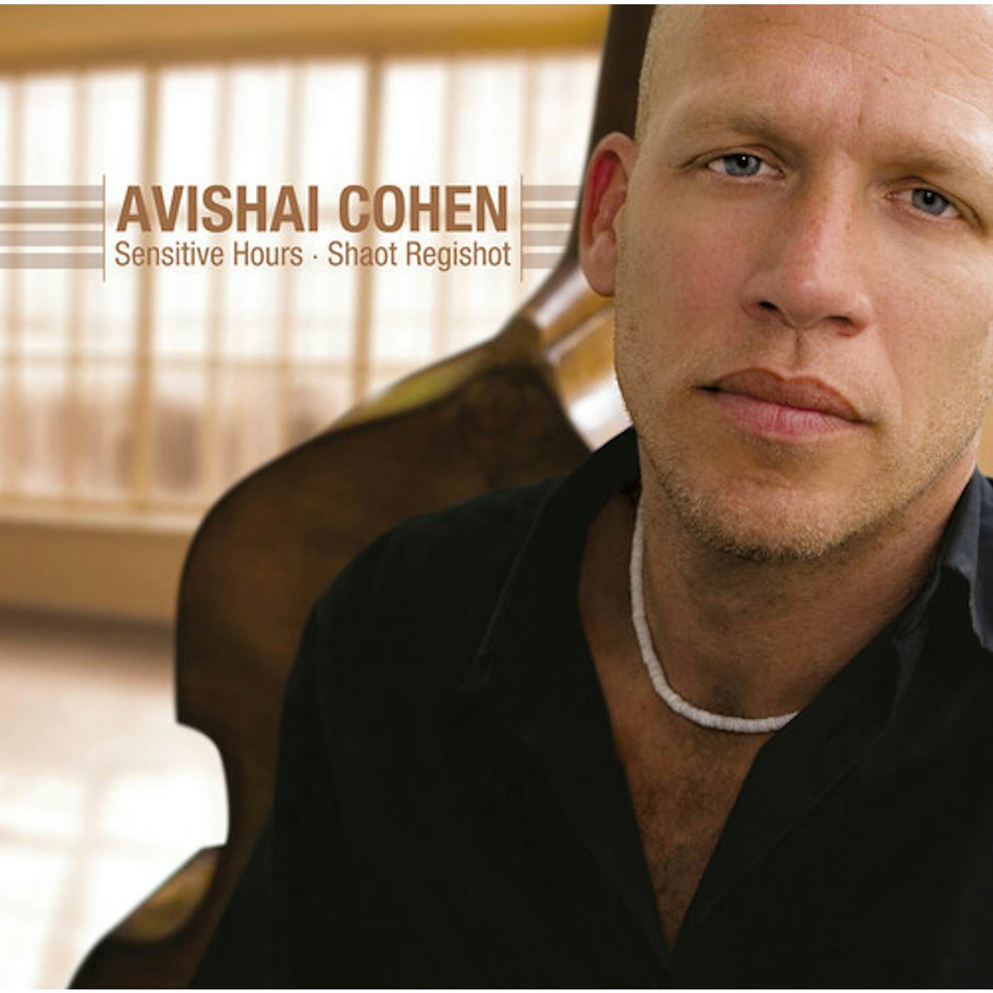Avishai Cohen Sensitive Hours Vinyl Record