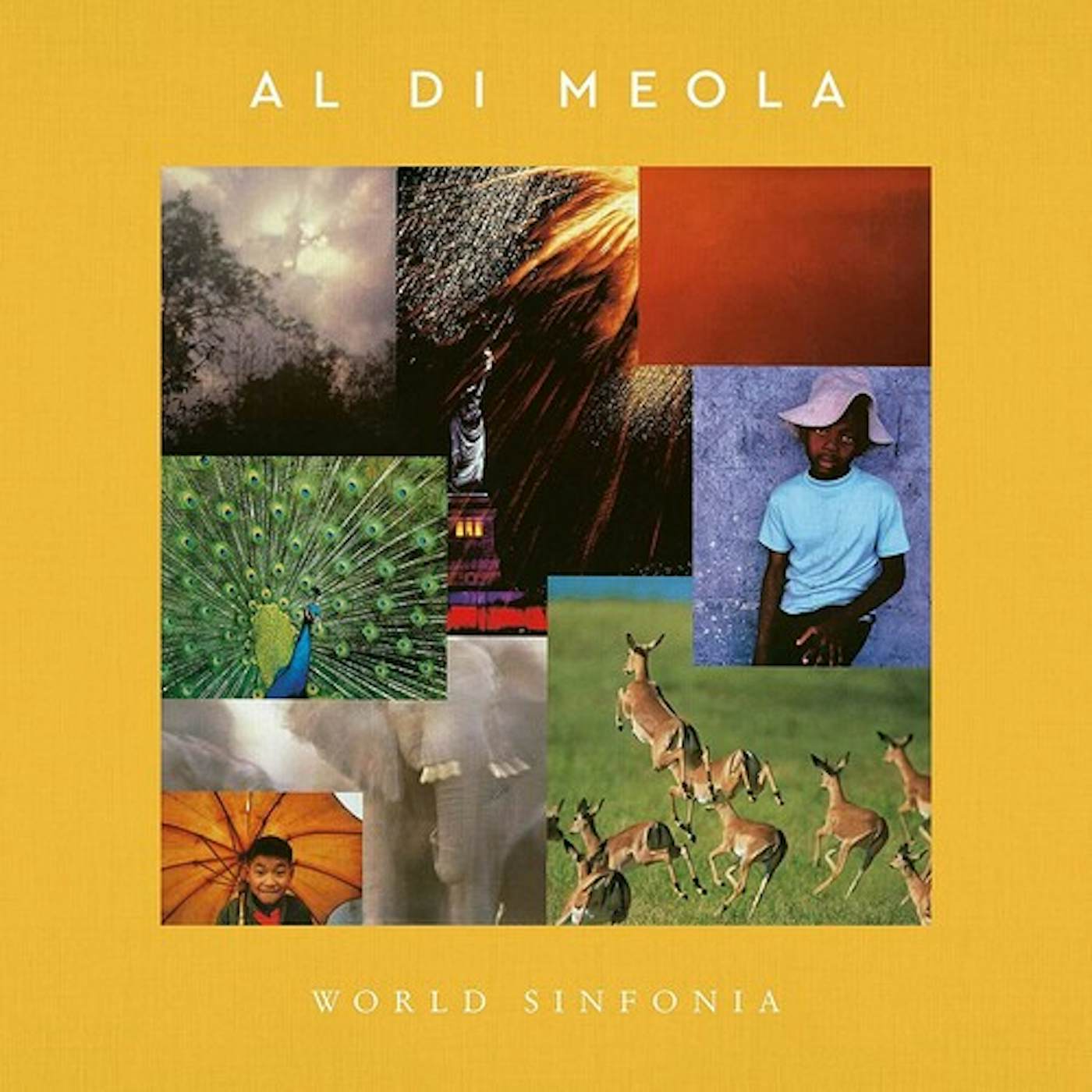 Al Di Meola World Sinfonia Vinyl Record