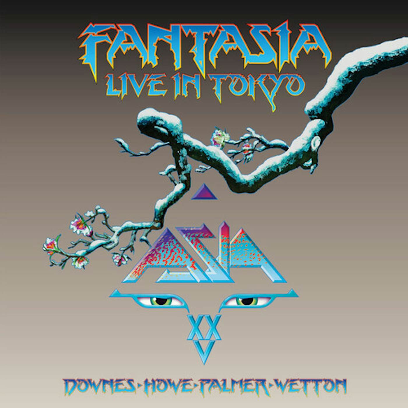 Fantasia Live In Tokyo 2007 Vinyl Record