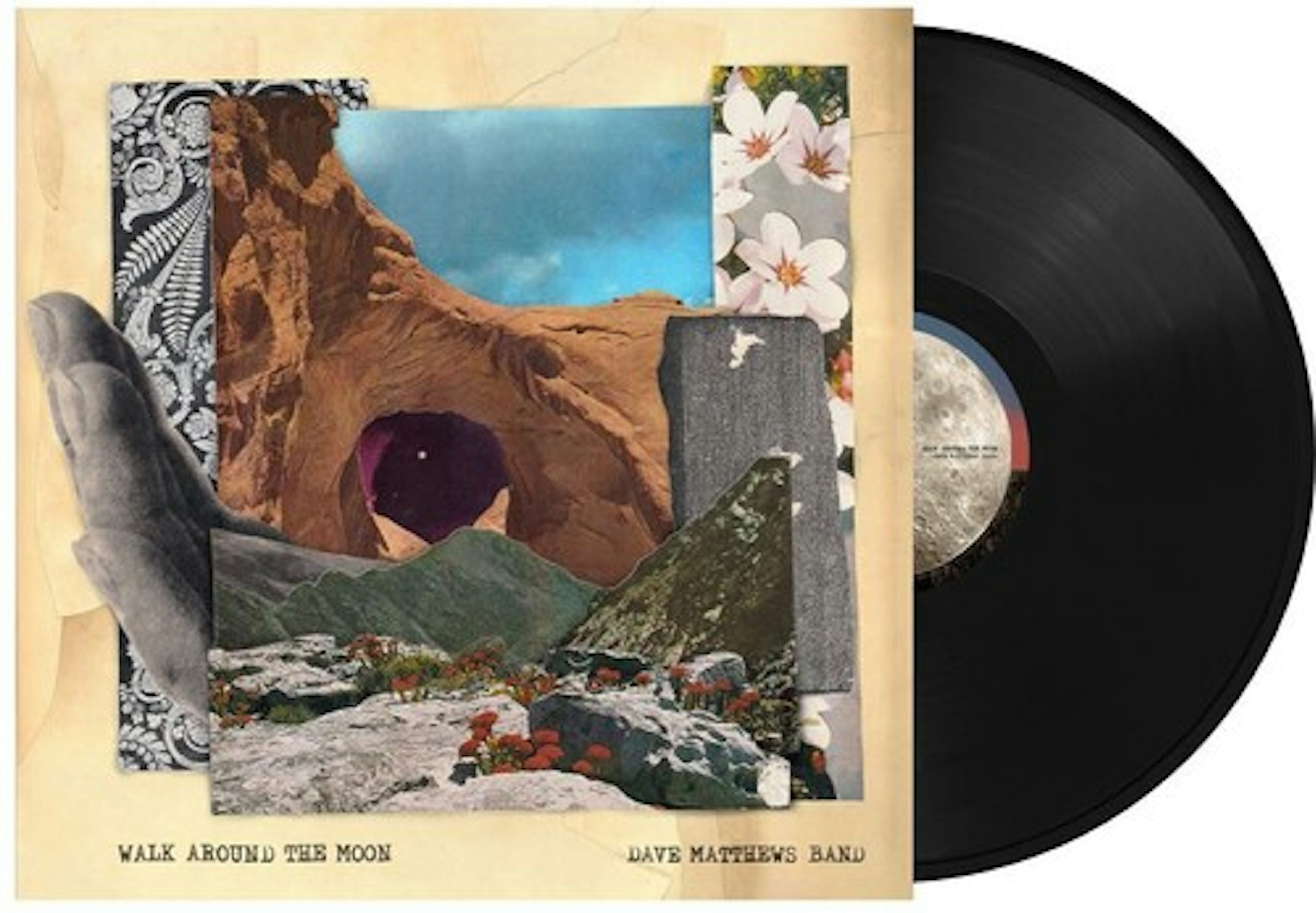 Dave Matthews Band Walk Around The Moon Vinyl Record