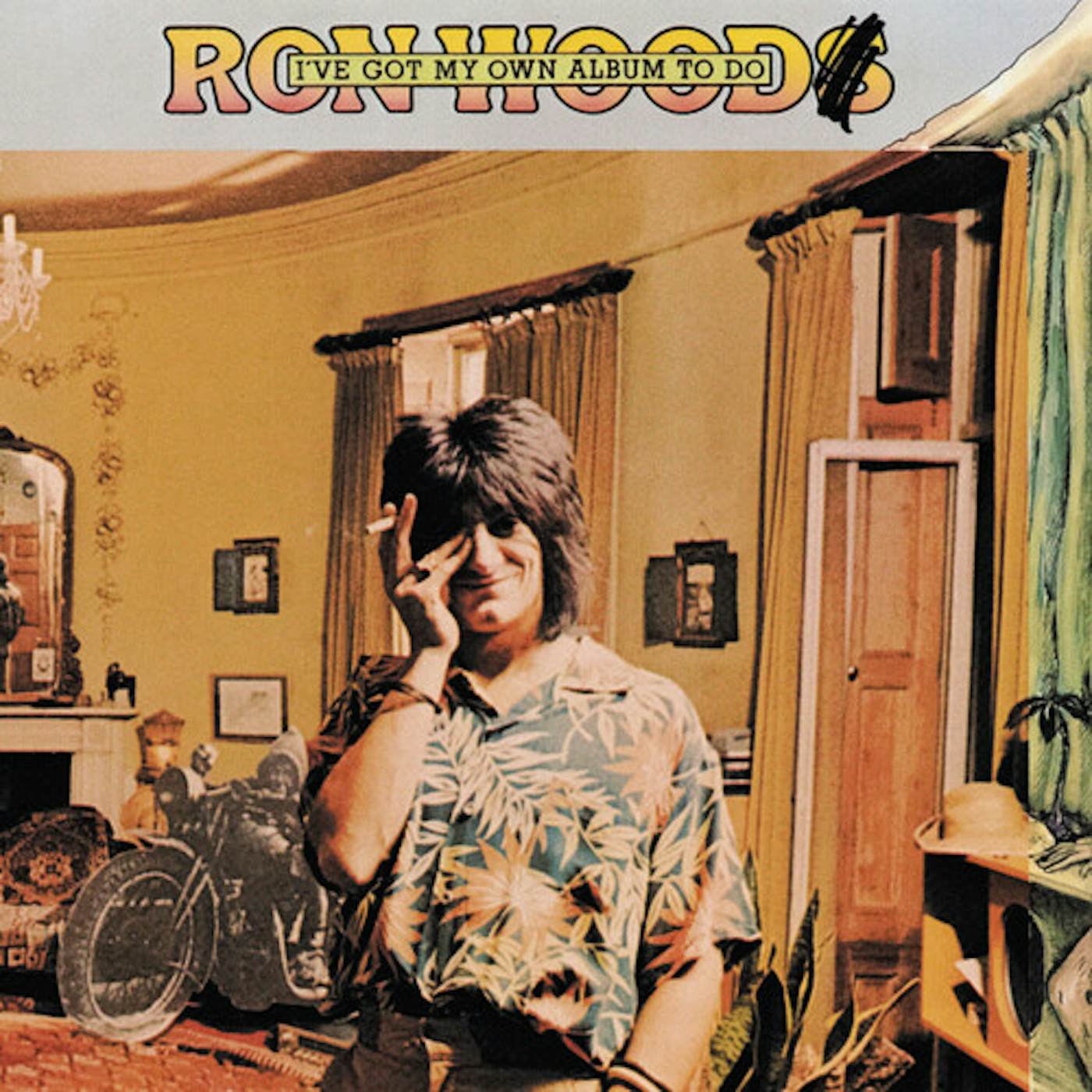 Ronnie Wood I'VE GOT MY OWN ALBUM TO DO CD