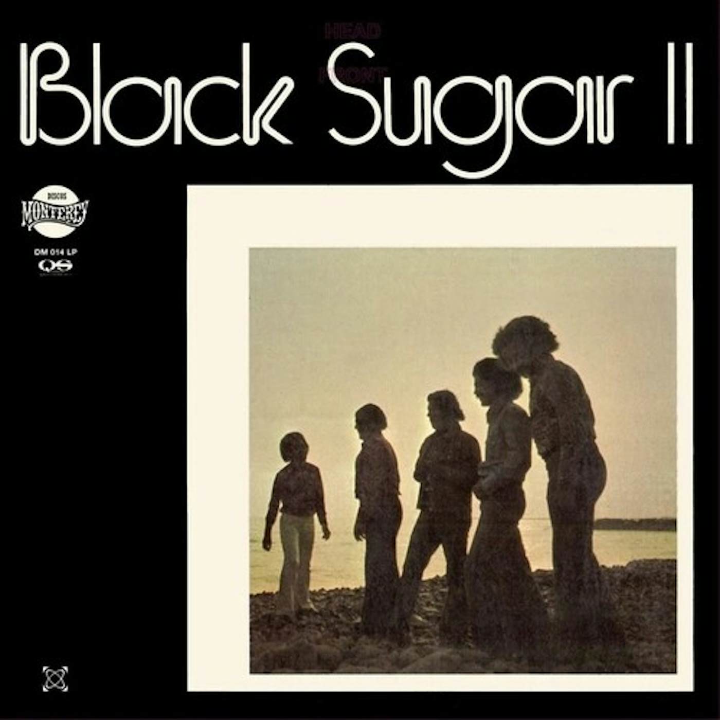 BLACK SUGAR II Vinyl Record