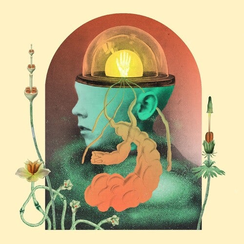 Salami Rose Joe Louis AKOUSMATIKOUS CD