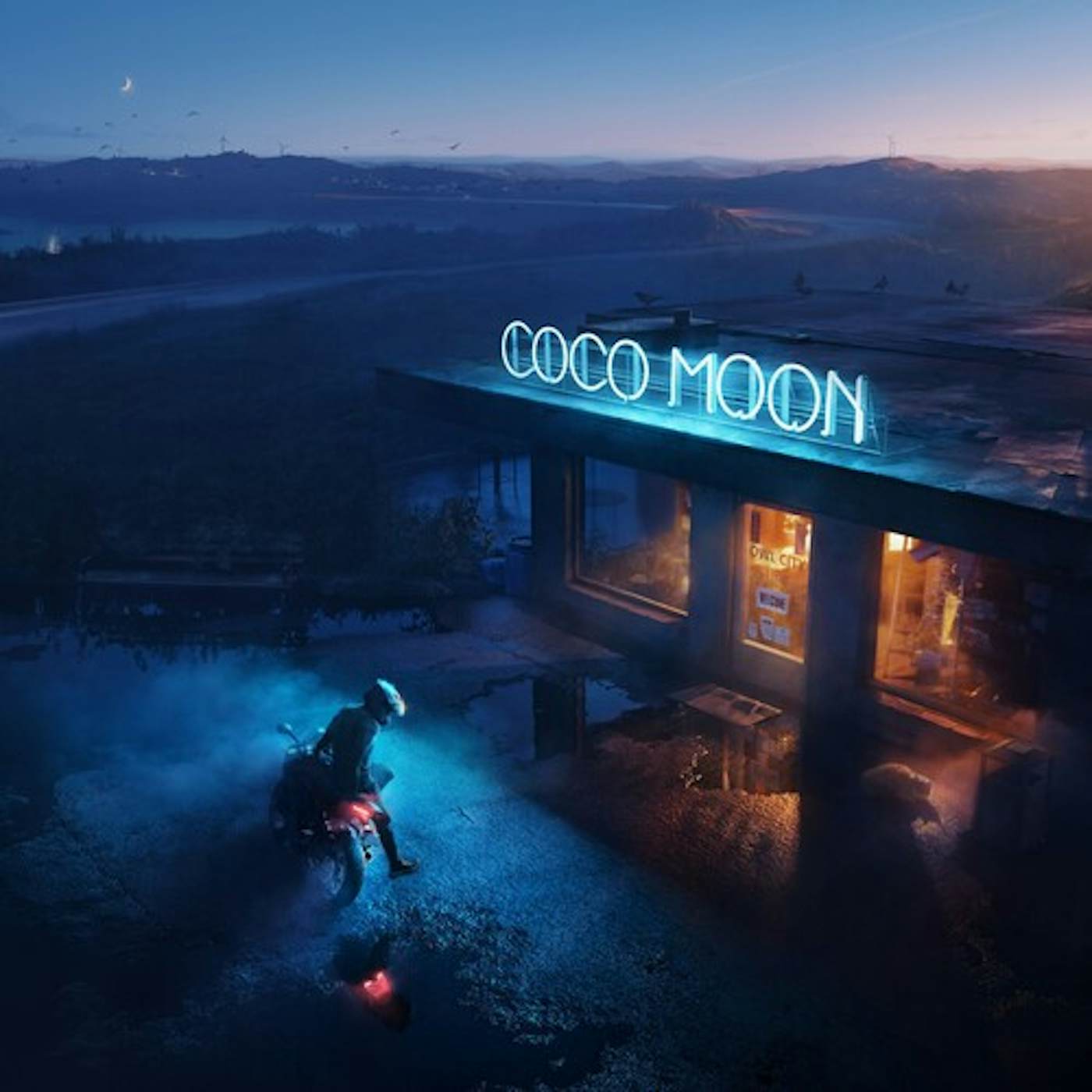 Owl City Coco Moon Vinyl Record