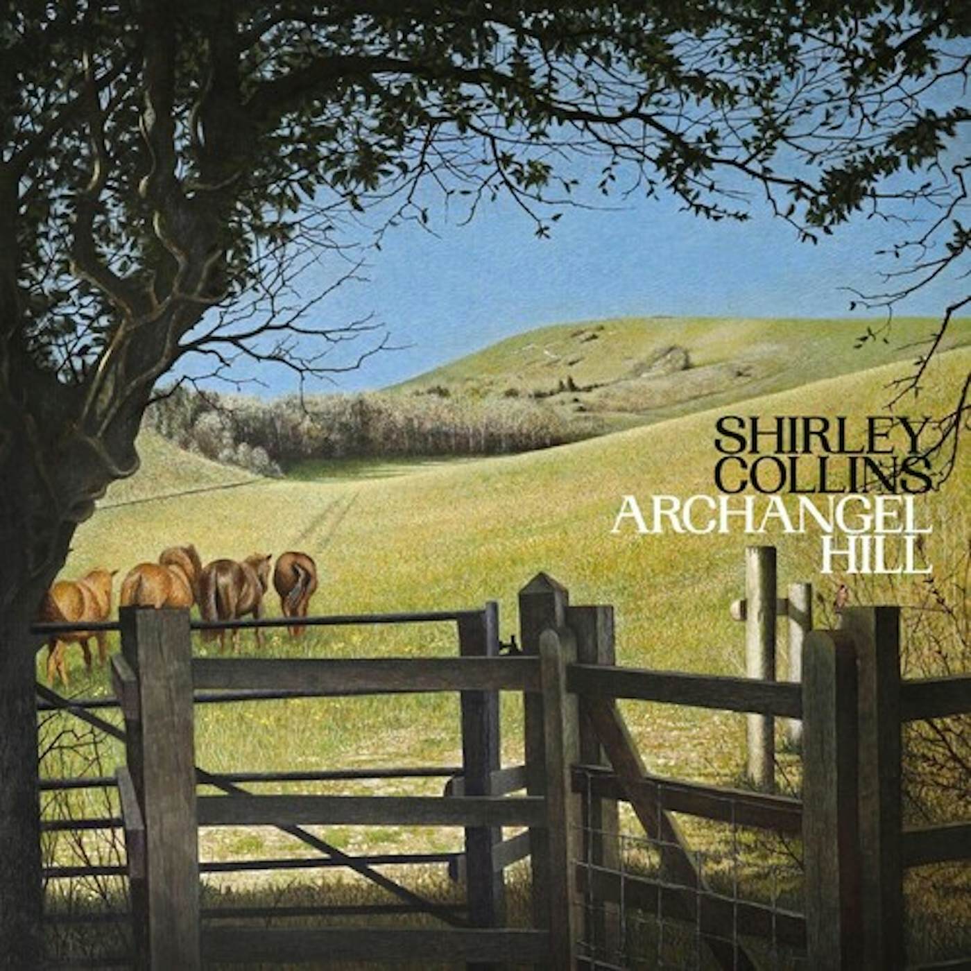 Shirley Collins ARCHANGEL HILL Vinyl Record