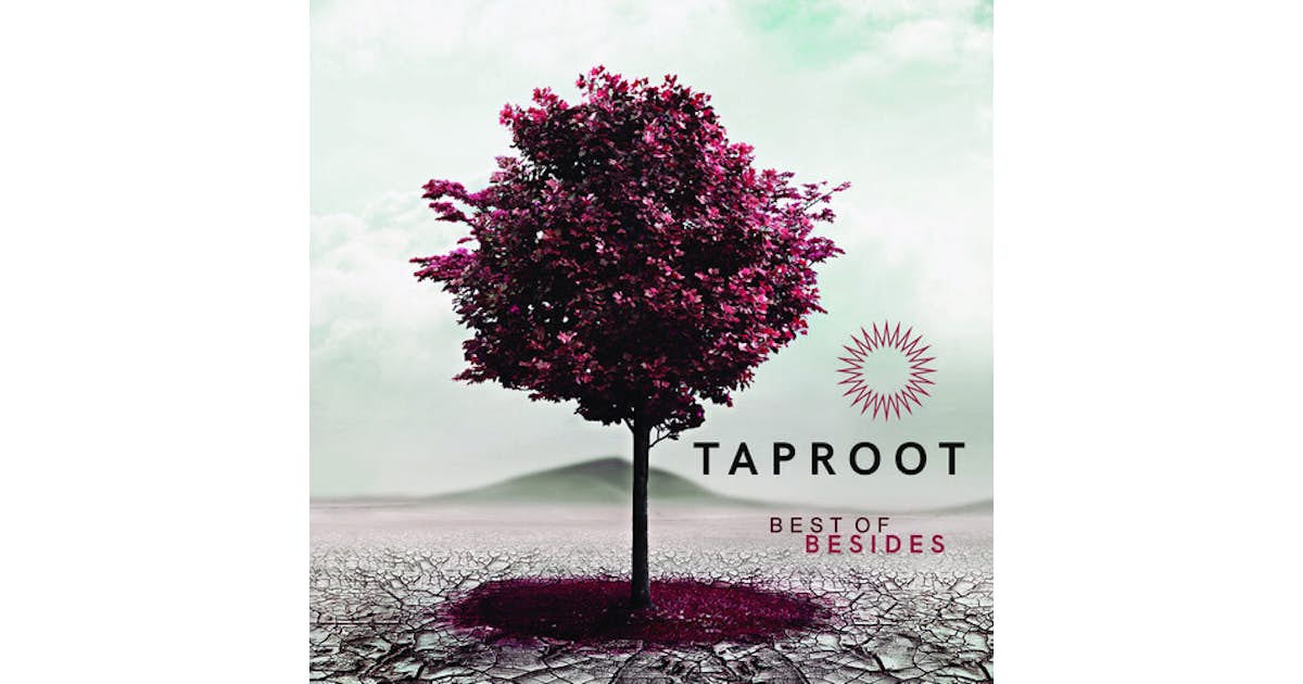 Taproot BEST OF BESIDES CD