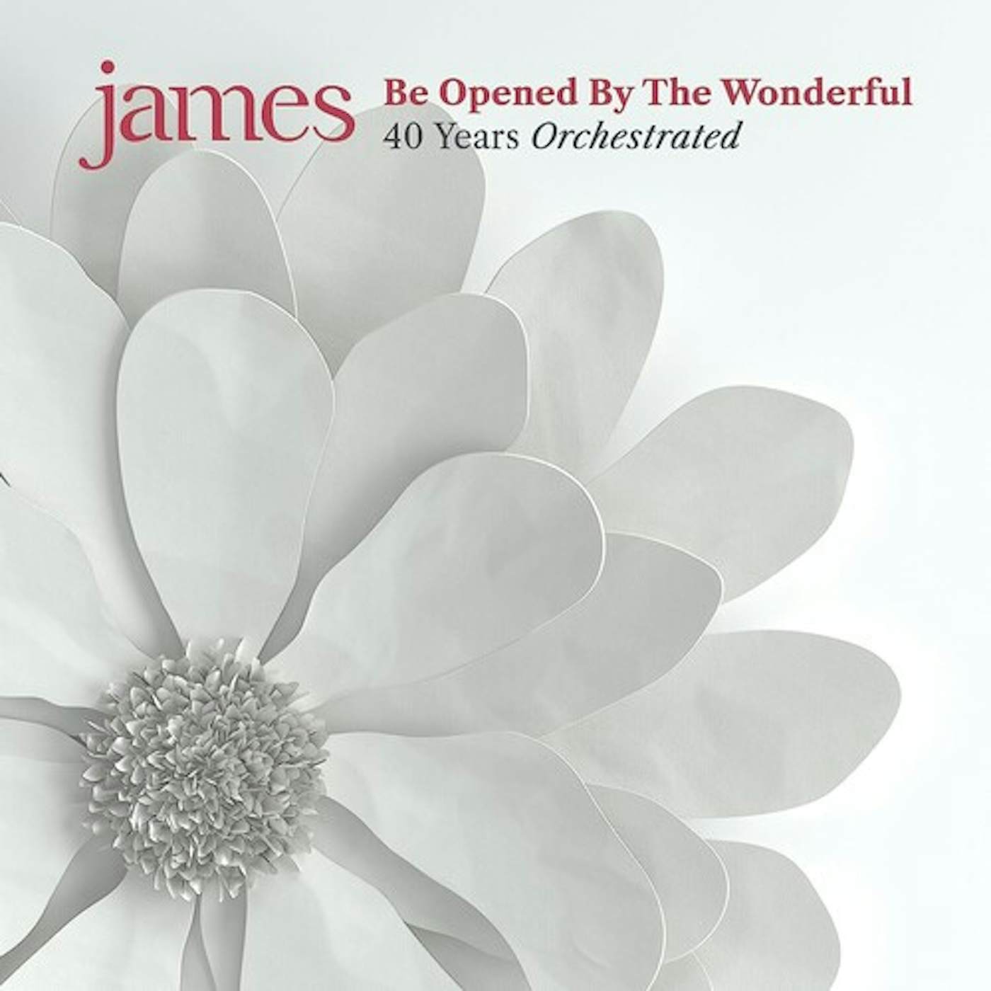 James BE OPENED BY THE WONDERFUL CD