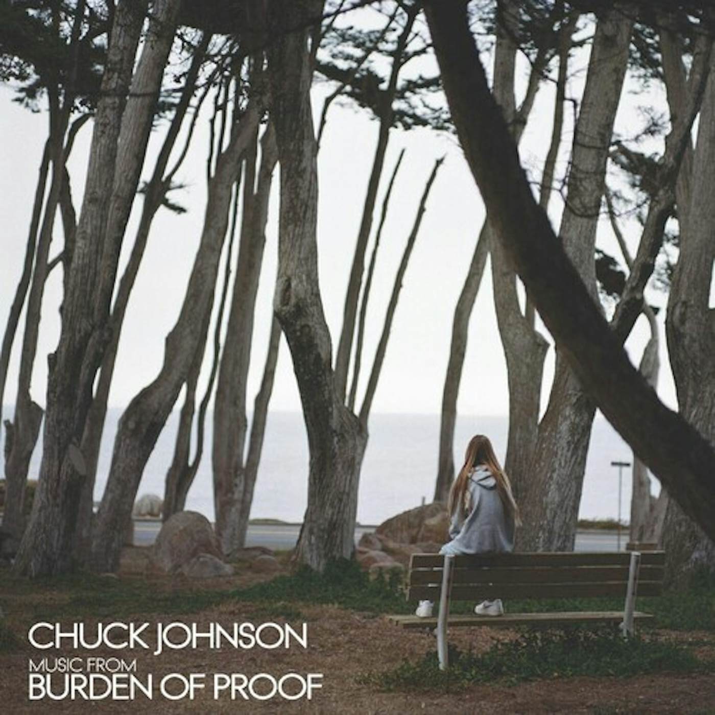 Chuck Johnson BURDEN OF PROOF Vinyl Record