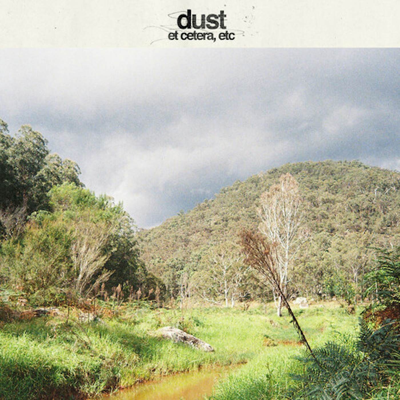 Dust ET CETERA ETC - GREEN Vinyl Record