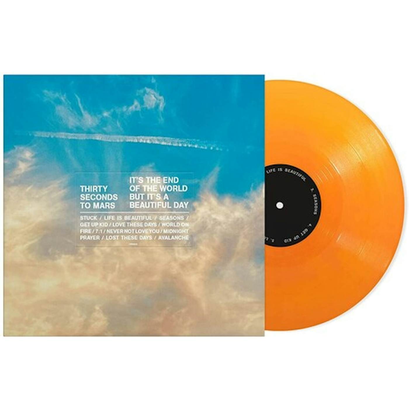 Thirty Seconds To Mars IT'S THE END THE WORLD BUT IT'S A BEAUTIFUL DAY Vinyl Record